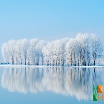 Tranh dán tường Hàn Quốc 3d khổ lớn ở Hà Nội NA - 439